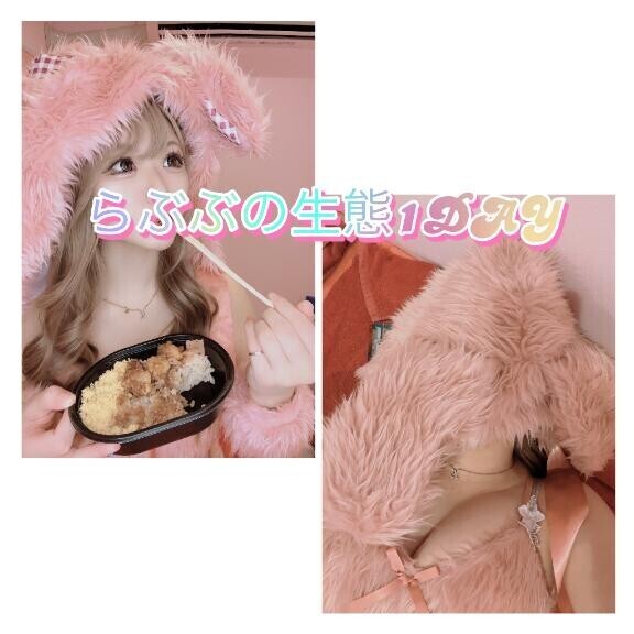 ラブブの1日 午前