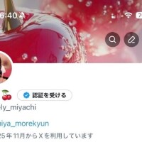 ふぉろーしてちょ