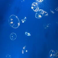 予約してくれたお兄さんへ