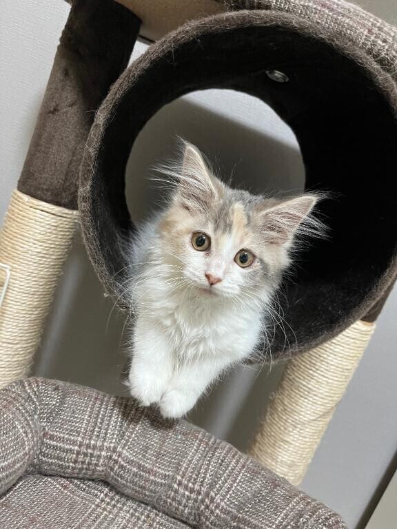 お休みになりました。