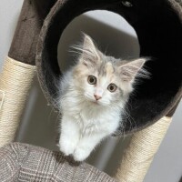 お休みになりました。