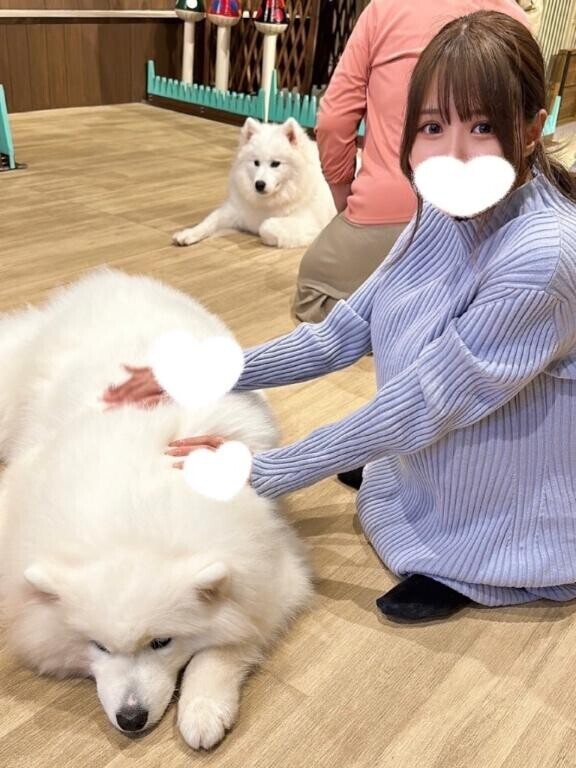 ??? はじめましてのご挨拶?