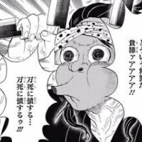 無キャンニキ??