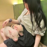 ?ミニブタカフェ?