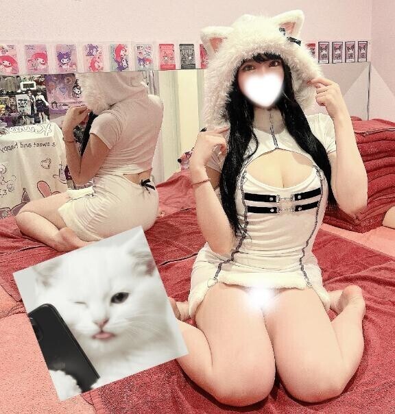 ?過激にゃんこ?