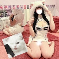 ?過激にゃんこ?