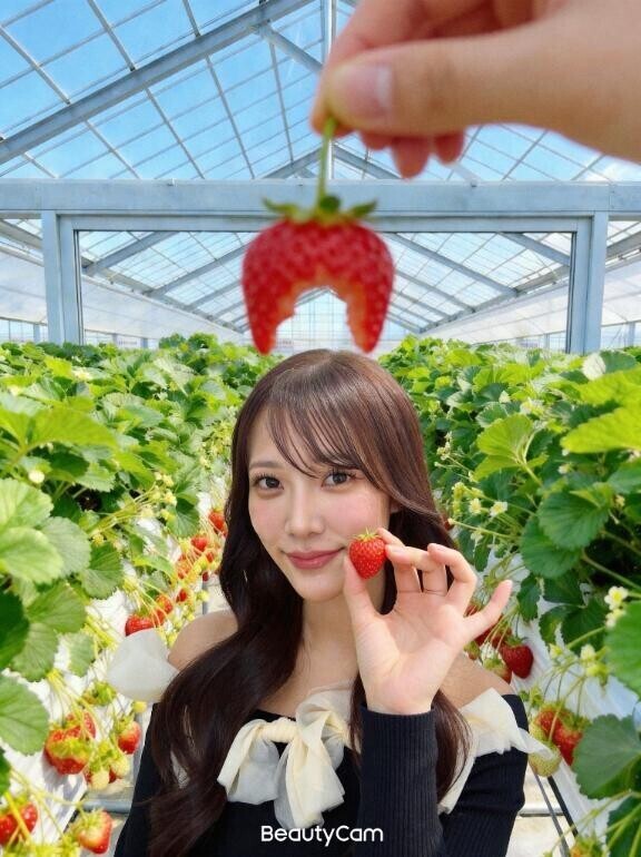 今日から?