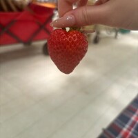 如月もな