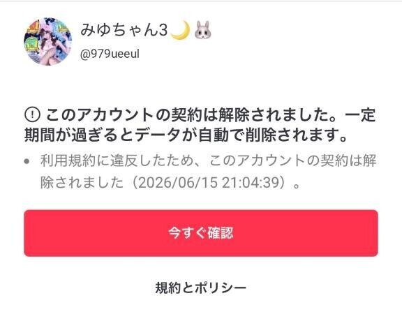 新規様へ?