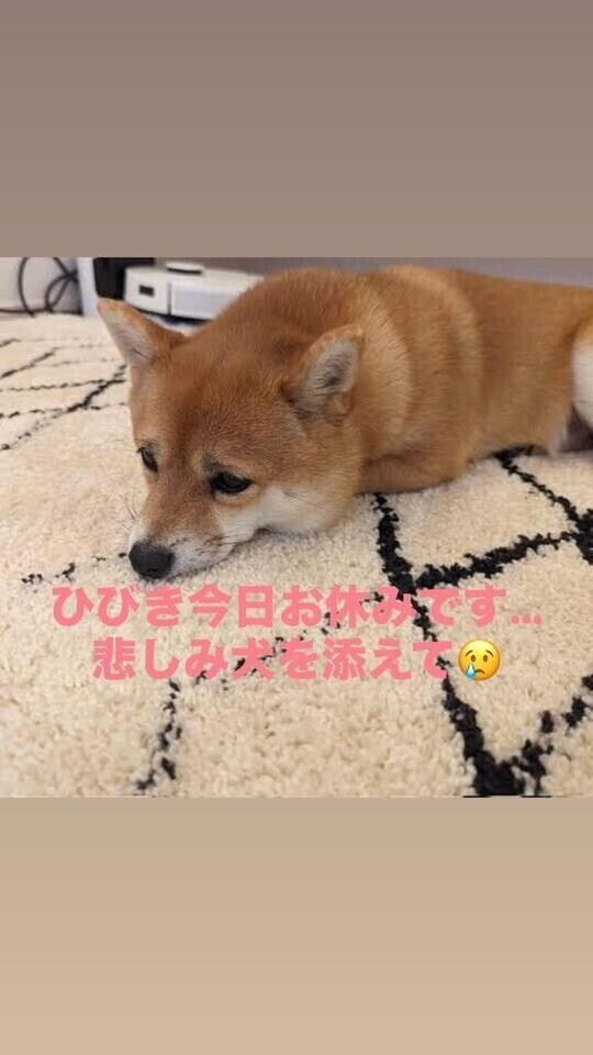 ひびきです行けなくなってしまいました