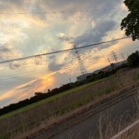 夕方の綺麗な???
