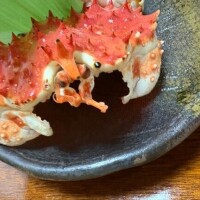 北海道旅行?????1日目②??? ??-?