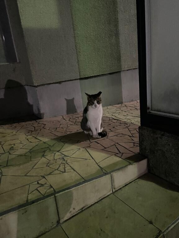 ??おはよう??