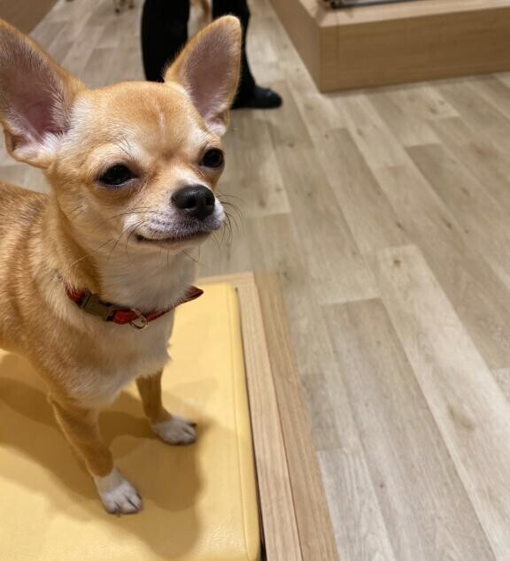 [お題]from:寝返りチーズさん