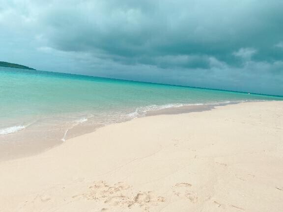 [お題]from:ぱりんこさん