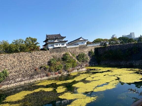 [お題]from:なんか意外さん