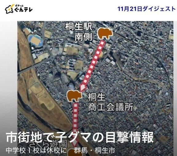 近くに、、、クマ???