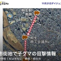 近くに、、、クマ???