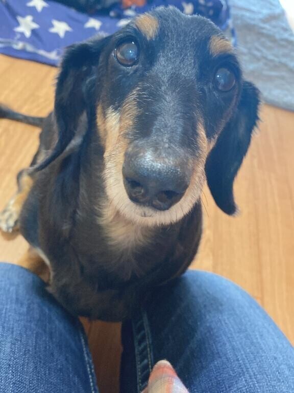 [お題]from:怖いんだけどさん