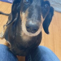 [お題]from:怖いんだけどさん