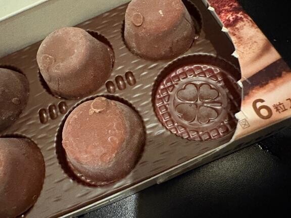 四つ葉のクローバー?*゜