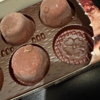 四つ葉のクローバー?*゜