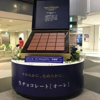 [お題]from:アポロンさん