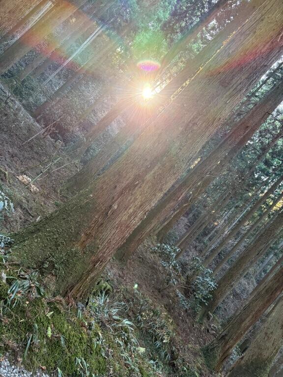 パワー充電?????