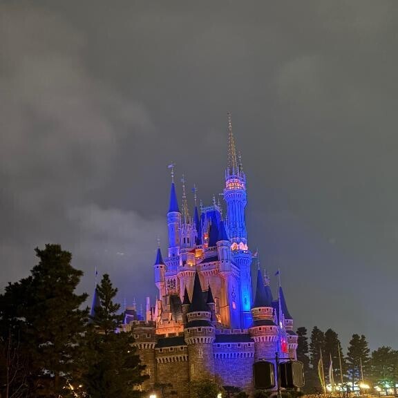 ディズニーランド????