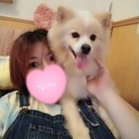 [お題]from:トイプーさん