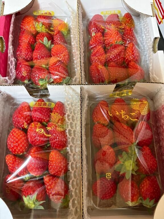 いちご??