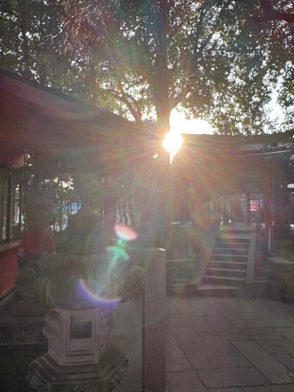 パワーありありだ??(*???*)｡♪:*°