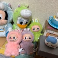 今撮ってみた??? ??-?