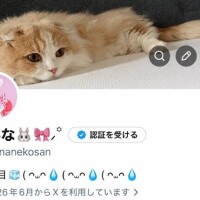 @aminanekosan