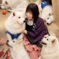 サモエド??