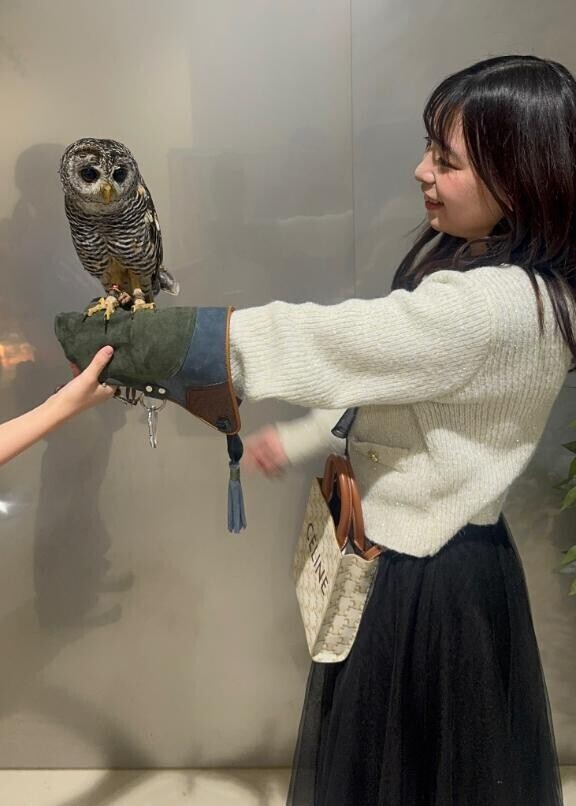 姫予約LINE??