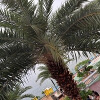 21日Sさんお礼?