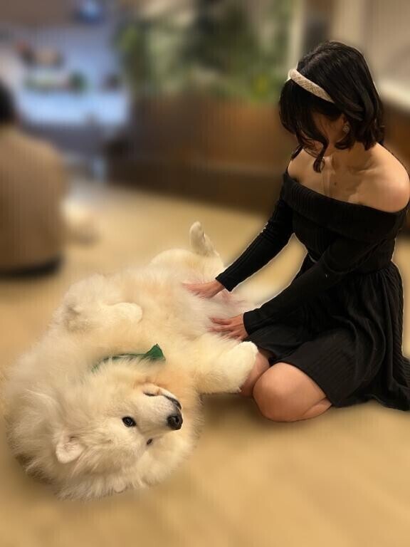 一応、初めましてちゃんの程で?笑