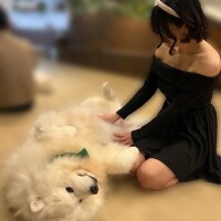 紫城つばき