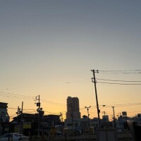 事前予約