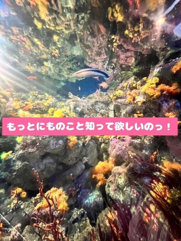 にもの生態！
