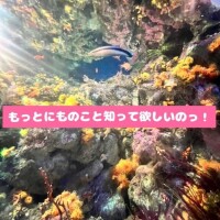 にもの生態！