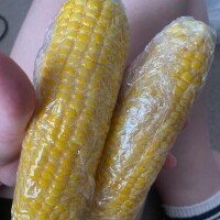 申し訳ありません?
