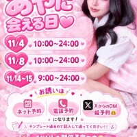 11月出勤予定日????