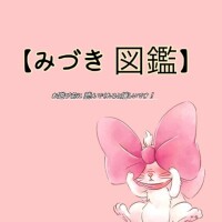 ?神崎みづき 図鑑?