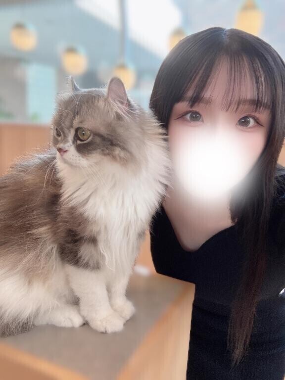 はじめまして? デビューします??