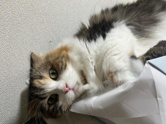 寝坊した；；