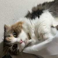 寝坊した；；