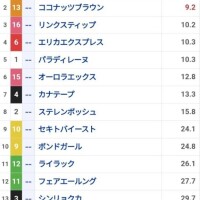 明日エリザベス杯
