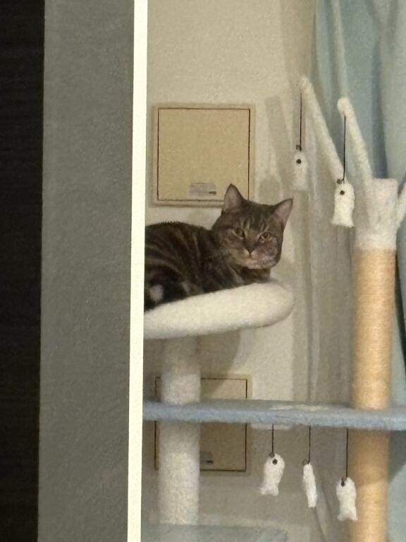 突然の帰宅でびっくりしないでよ